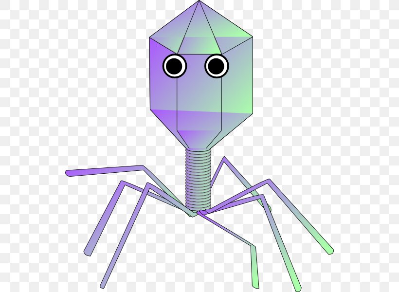 Virus Viral Vector Bacteriophage Clip Art, PNG, 552x600px, Virus, Bacteria, Bacteriophage, Computer Virus, Infection Download Free