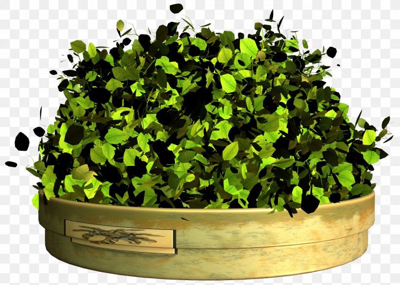 Grass, PNG, 1400x998px, Grass, Flowerpot, Herb, Leaf, Plant Download Free