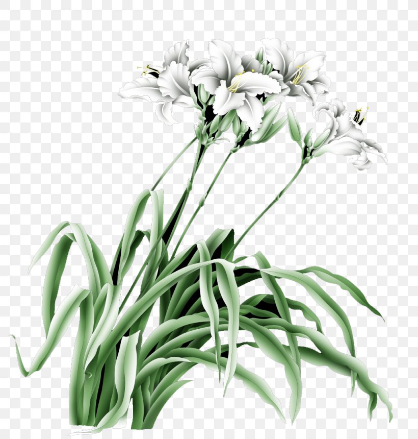 Lilium Drawing Cartoon, PNG, 1024x1075px, Lilium, Black And White, Cartoon, Cut Flowers, Designer Download Free