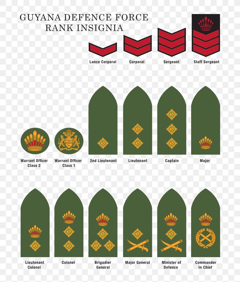 Military Rank Guyana Defence Force United States Army Enlisted Rank Insignia, PNG, 765x964px, Military Rank, Air Force, Army, Brand, Captain Download Free