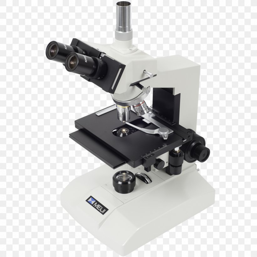 Phase Contrast Microscopy Optical Microscope Bright-field Microscopy, PNG, 1000x1000px, Phase Contrast Microscopy, Biology, Brightfield Microscopy, Contrast, Information Download Free
