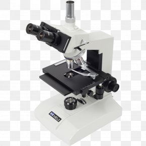 Microscope Clincal - Phase Contrast Microscopy Optical Microscope Bright-field Microscopy PNG