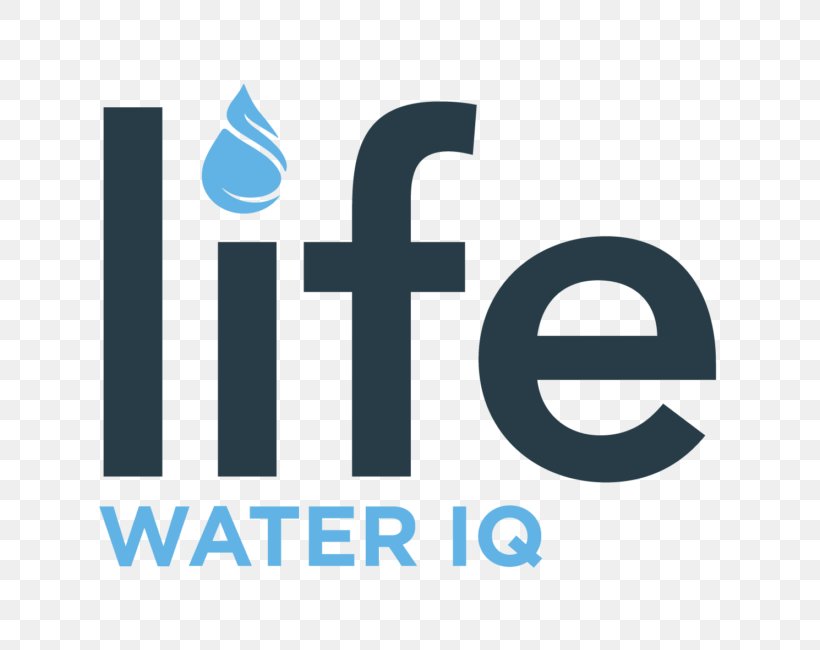 Water Life - Skiing Logo Winter Sport PNG