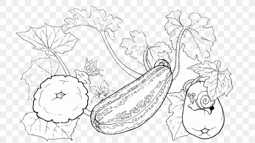 Drawing Zucchini Pattypan Squash Coloring Book Vegetable, PNG, 1280x720px, Watercolor, Cartoon, Flower, Frame, Heart Download Free