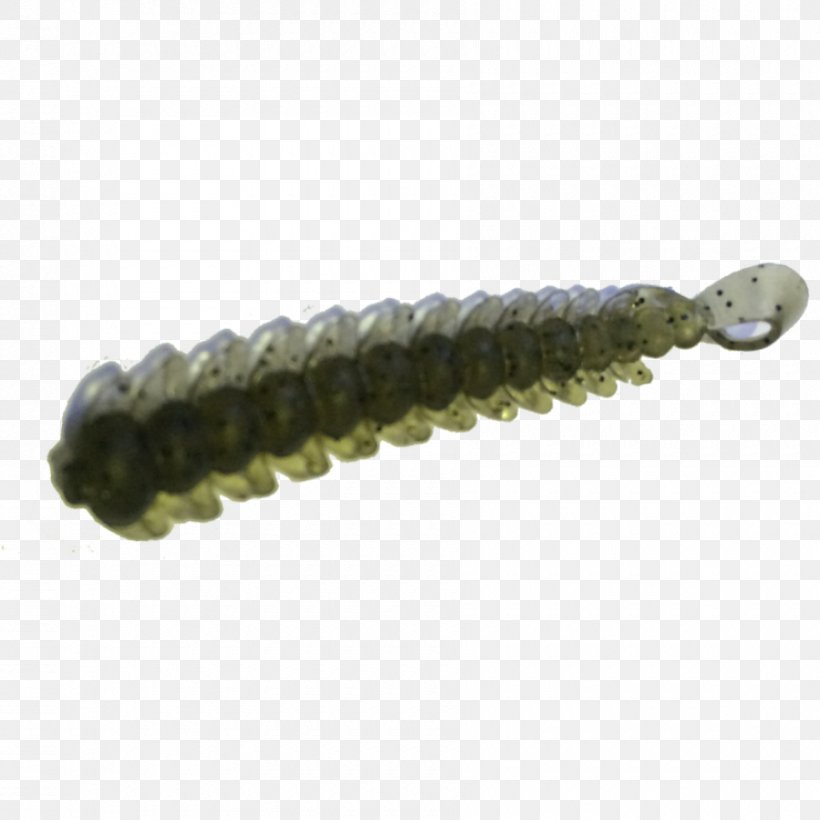 Worm, PNG, 900x900px, Worm, Larva Download Free
