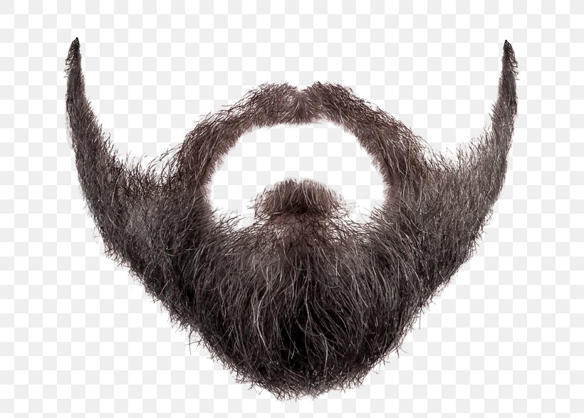 Beard Clip Art, PNG, 700x587px, Beard, Fur, Horn, Image Resolution, Moustache Download Free