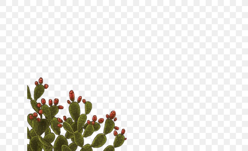 Citroën Cactus M Petal Leaf Cactaceae Font, PNG, 640x500px, Petal, Branch, Branching, Cactaceae, Cactus Download Free
