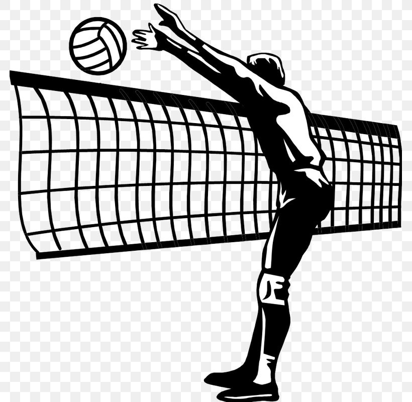 Florida Gators Women's Volleyball A1 Ethniki Volleyball Sport CEV Champions League, PNG, 781x800px, Volleyball, A1 Ethniki Volleyball, Area, Ball, Baseball Equipment Download Free