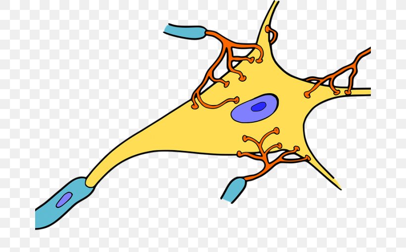 Neuron Cell Synapse Nervous Tissue, PNG, 678x509px, Watercolor, Cartoon, Flower, Frame, Heart Download Free