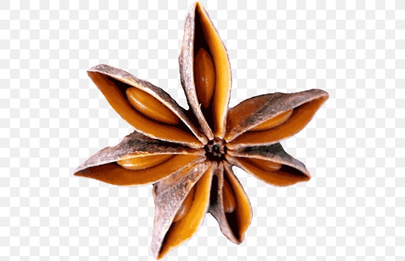 Spice Star Anise Flavor Chopped, PNG, 530x530px, Spice, Chopped, Flavor, Ingredient, Petal Download Free