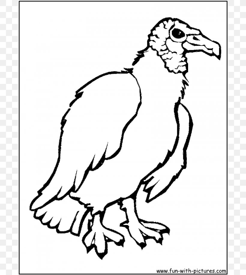 Turkey Vulture Bird Coloring Book Drawing, PNG, 700x918px, Turkey Vulture, Art, Beak, Bird, Black And White Download Free