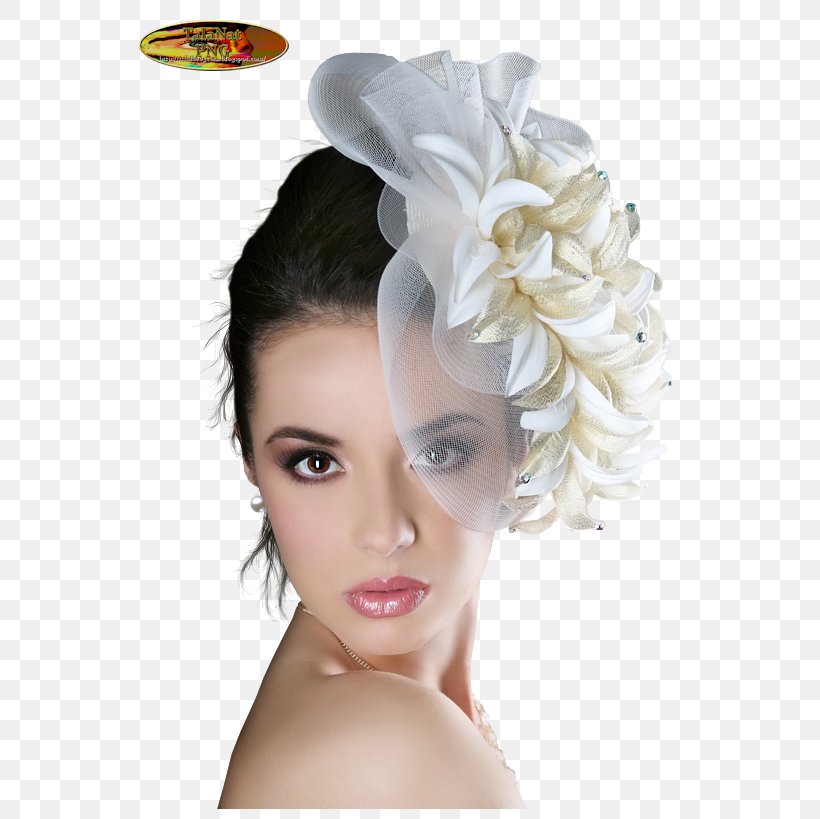 Woman With A Hat Gourd Art, PNG, 563x819px, Hat, Beauty, Black Hair, Bridal Accessory, Brown Hair Download Free