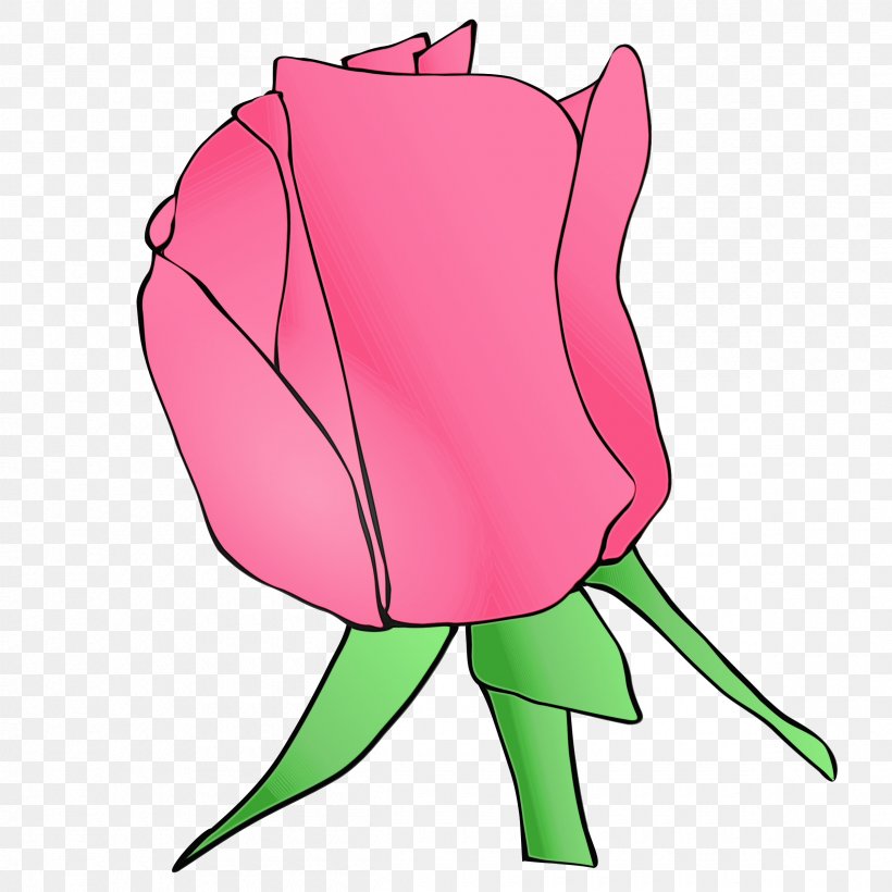 Rose, PNG, 2400x2400px, Watercolor, Flower, Magenta, Paint, Pink Download Free