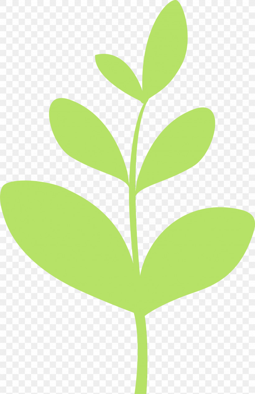 Leaf Green Plant Flower Tree, PNG, 1945x3000px, Sprout, Bud, Flower, Flush, Green Download Free