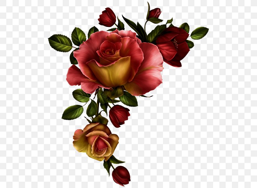 Borders And Frames Rose Flower Clip Art Floral Design, PNG, 525x600px, Borders And Frames, Artificial Flower, Black Rose, Botany, Bouquet Download Free