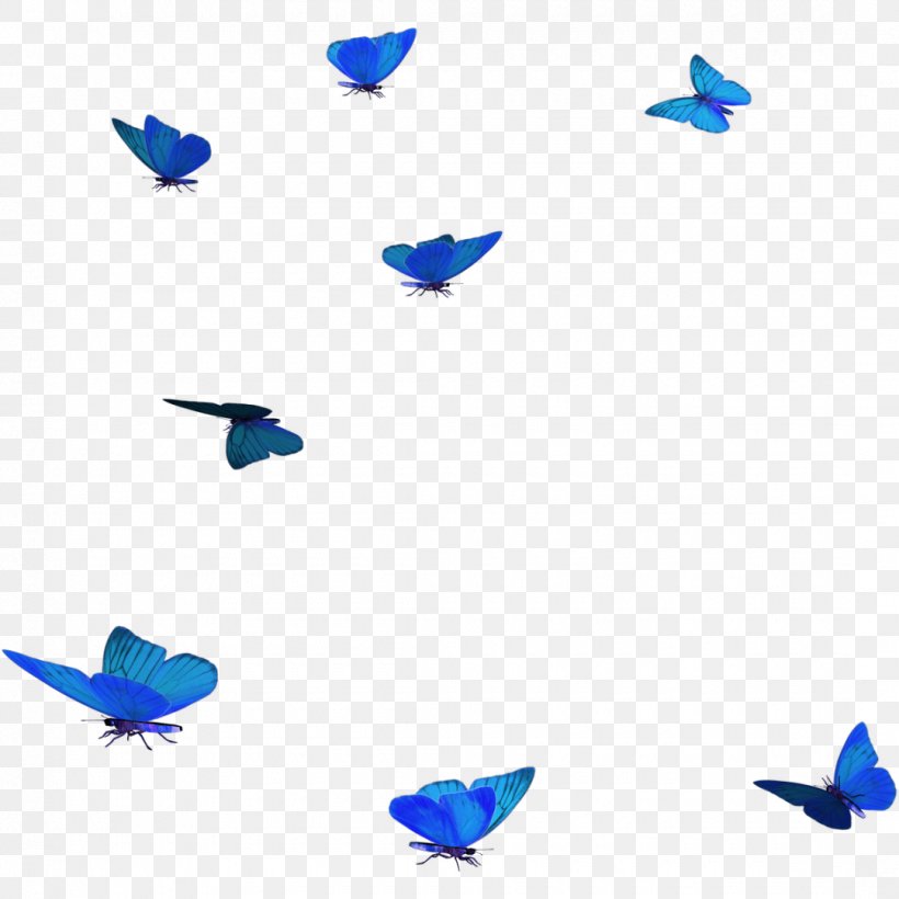 Butterfly Papillon Dog Blue Clip Art, PNG, 1080x1080px, Butterfly, Animal, Bird, Blue, Butterflies And Moths Download Free