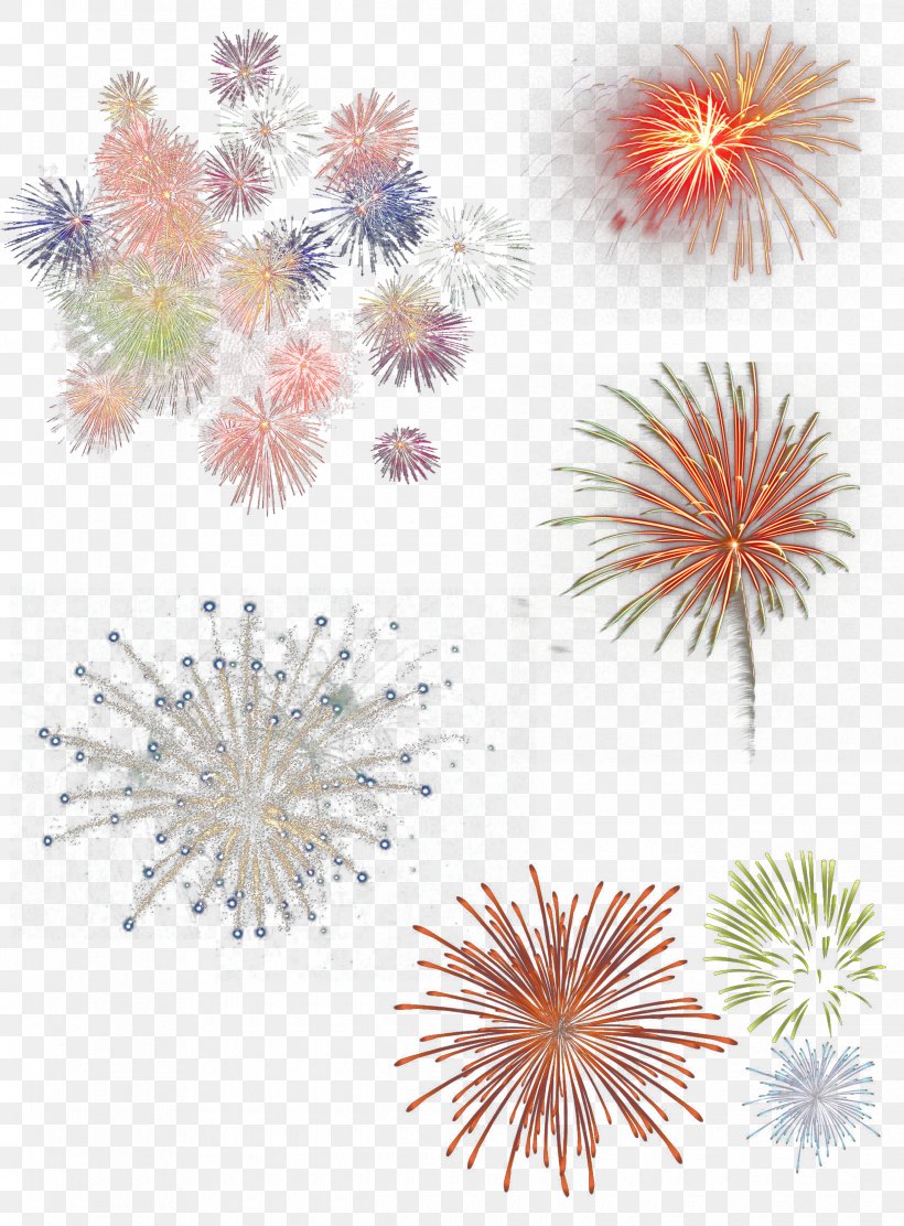 Fireworks Download Festival, PNG, 2480x3366px, Fireworks, Data, Festival, Flower, Flowering Plant Download Free