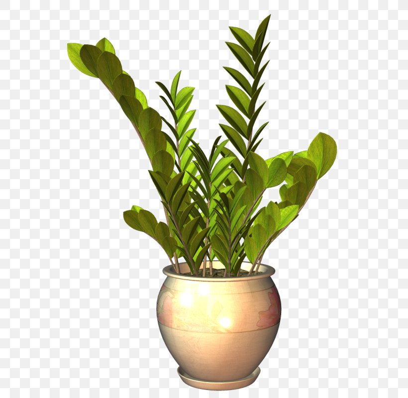 Flowerpot Leaf Houseplant Plants, PNG, 578x800px, Flowerpot, Aquarium Decor, Fern, Flower, Flowering Plant Download Free