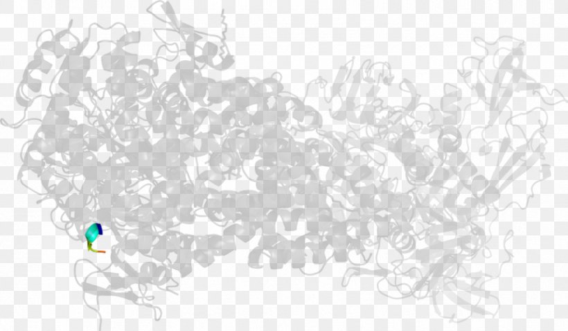Line Art Map, PNG, 856x500px, Line Art, Area, Border, Map, Point Download Free