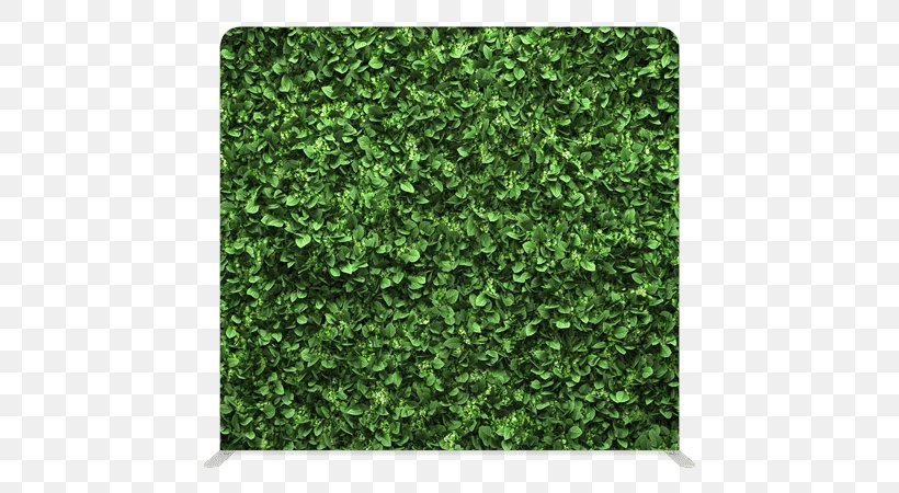 Artificial Turf Mat Green Wall Hedge, PNG, 600x450px, Artificial Turf, Carpet, Evergreen, Fence, Garden Download Free