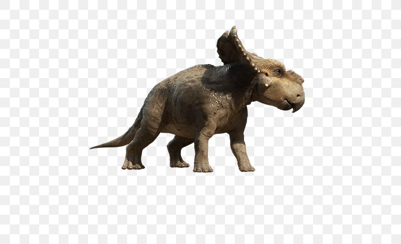 Pachyrhinosaurus Tyrannosaurus Scowler Troodon Patchi, PNG, 500x500px, Pachyrhinosaurus, Dinosaur, Fauna, Gorgosaurus, Oviraptor Download Free