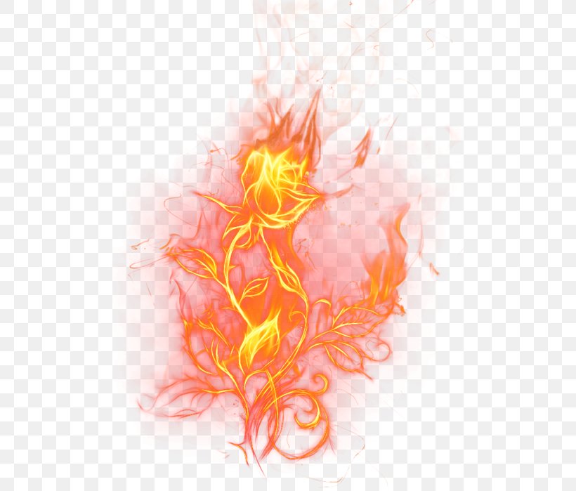 Clip Art Image Fire Vector Graphics, PNG, 501x699px, Fire, Art, Blue Rose, Drawing, Flame Download Free