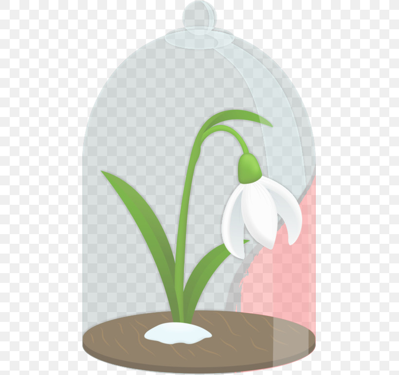 Snowdrop Flowerpot Plant Flower Houseplant, PNG, 481x769px, Snowdrop, Amaryllis Family, Flower, Flowerpot, Galanthus Download Free