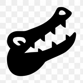 Alligator - Alligator Crocodile Drawing PNG