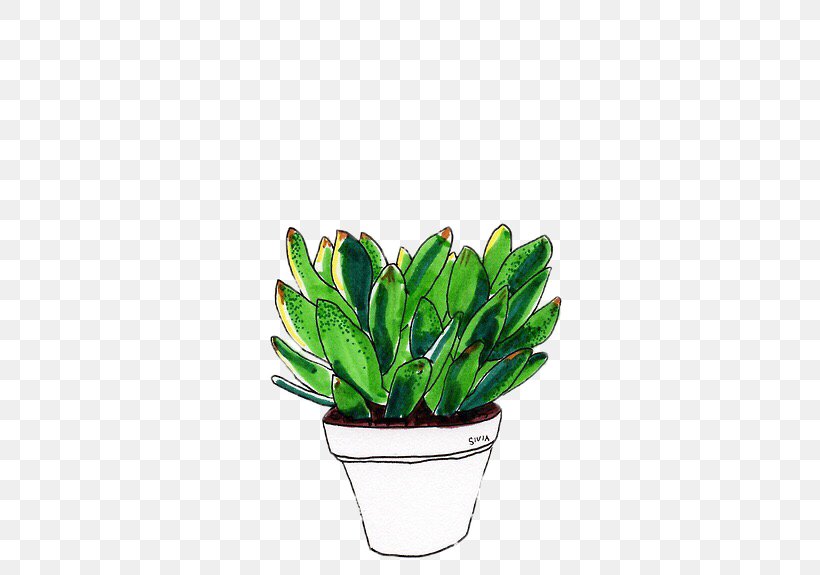 Drawing Cactaceae Succulent Plant, PNG, 500x575px, Drawing, Art, Cactaceae, Digital Art, Doodle Download Free