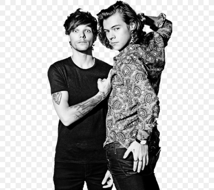 Louis Tomlinson Harry Styles One Direction Shipping YouTube, PNG, 500x727px, Watercolor, Cartoon, Flower, Frame, Heart Download Free