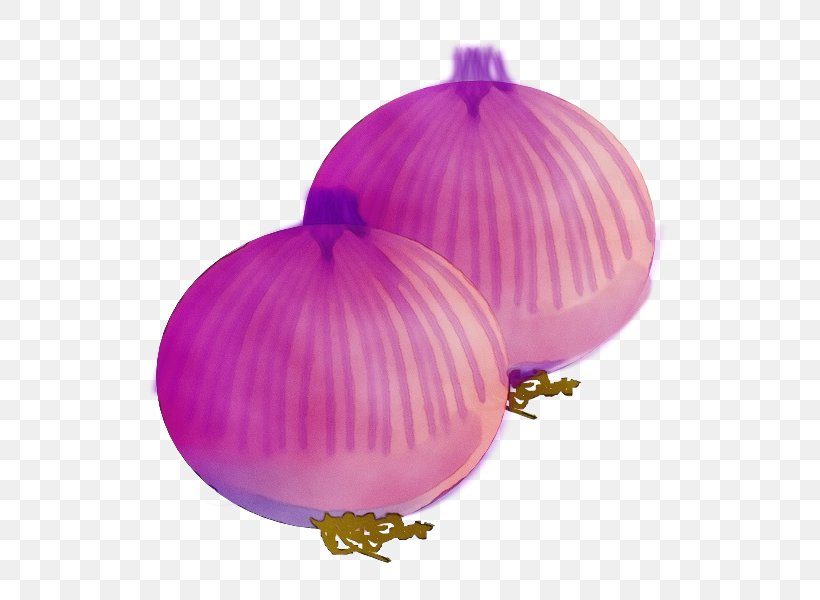 Onion Purple Violet Pink Red Onion, PNG, 600x600px, Watercolor, Allium, Food, Magenta, Onion Download Free