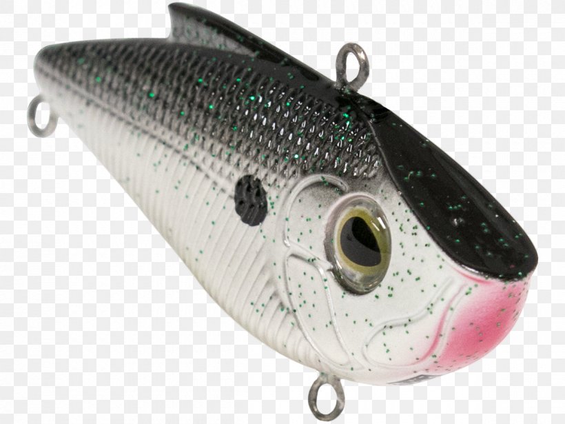 Spoon Lure Northern Pike Plug Bony Fishes Fishing Baits & Lures, PNG, 1200x900px, Spoon Lure, Angling, Bait, Bony Fishes, Fish Download Free