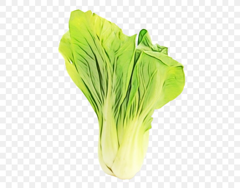 Vegetable Leaf Vegetable Plant Food Wild Cabbage, PNG, 640x640px, Watercolor, Chinese Cabbage, Flower, Food, Leaf Vegetable Download Free