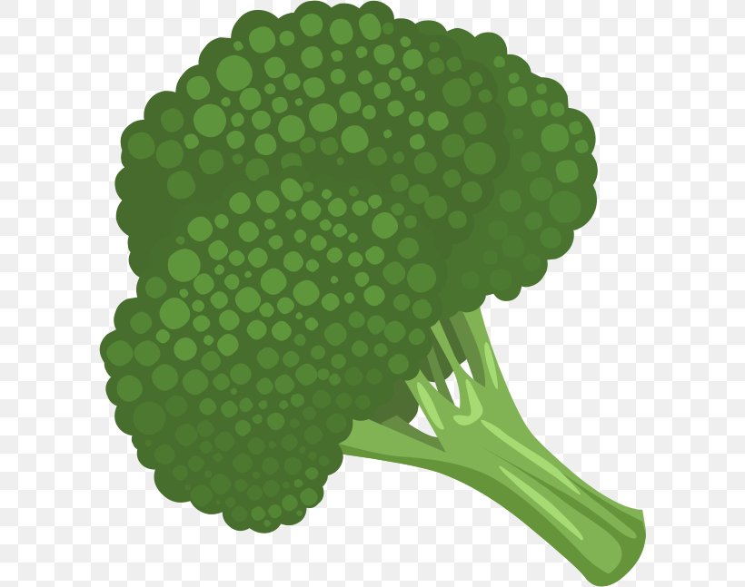 Broccoli Cauliflower Vegetable Clip Art, PNG, 602x647px, Broccoli, Brassica Oleracea, Cauliflower, Drawing, Food Download Free