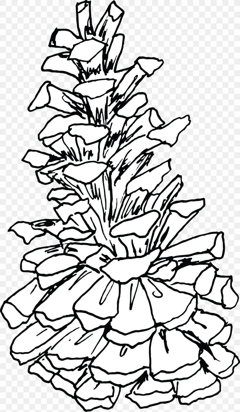 Christmas Tree Line Art Plant Stem Leaf, PNG, 1043x1790px, Christmas Tree, Black And White, Branch, Branching, Christmas Download Free
