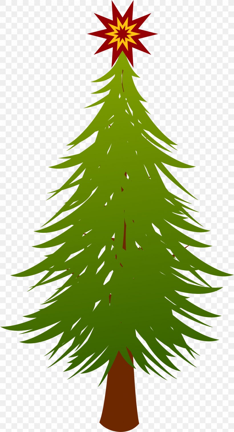Fir Spruce Evergreen Christmas Tree, PNG, 1821x3356px, Fir, Branch, Christmas, Christmas Decoration, Christmas Ornament Download Free