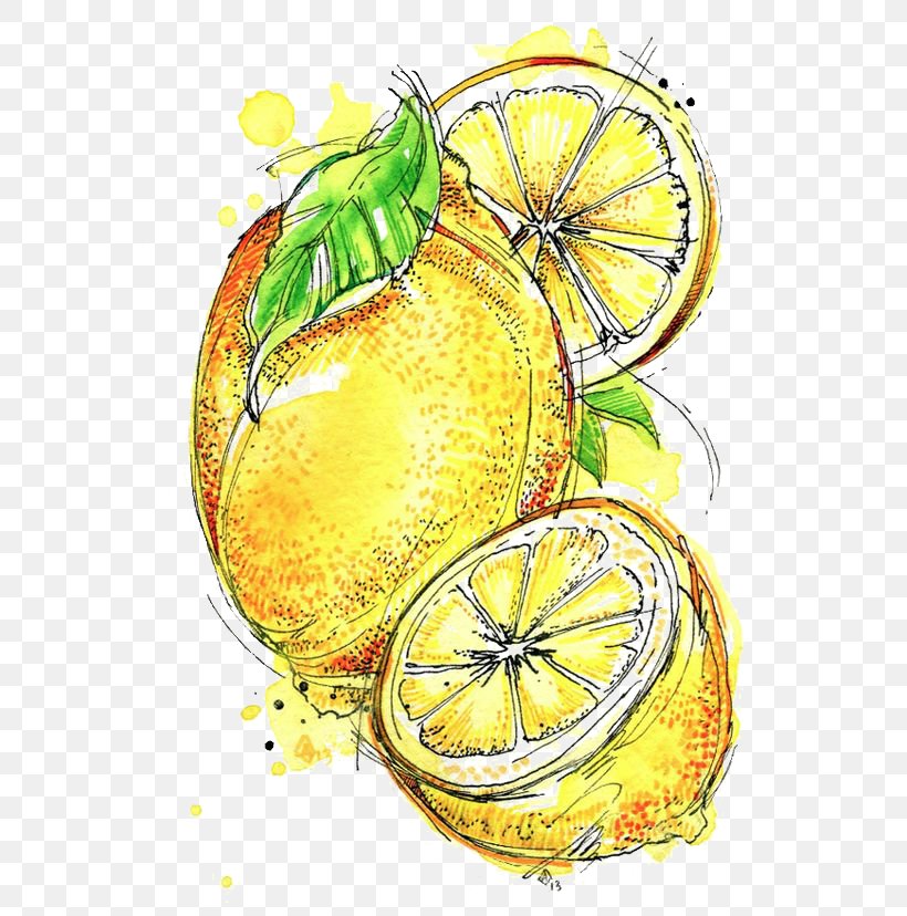 Lemon-lime Drink Cocktail, PNG, 564x828px, Lemon, Citrus, Cocktail, Deviantart, Drink Download Free