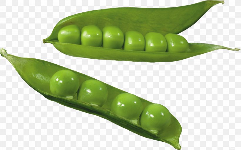 Pea Common Bean Silique Clip Art, PNG, 3159x1970px, Pea, Bean, Commodity, Common Bean, Food Download Free