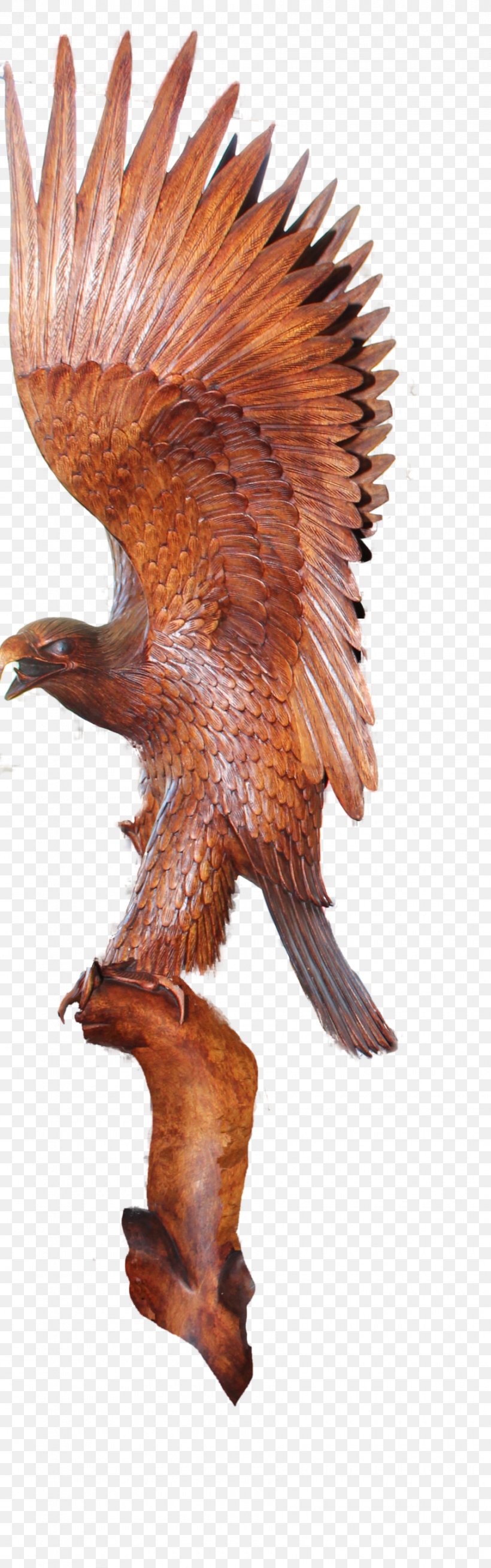 Wood Carving Sculpture Craft, PNG, 900x2871px, Wood Carving, Art, Beak, Bird, Bird Of Prey Download Free