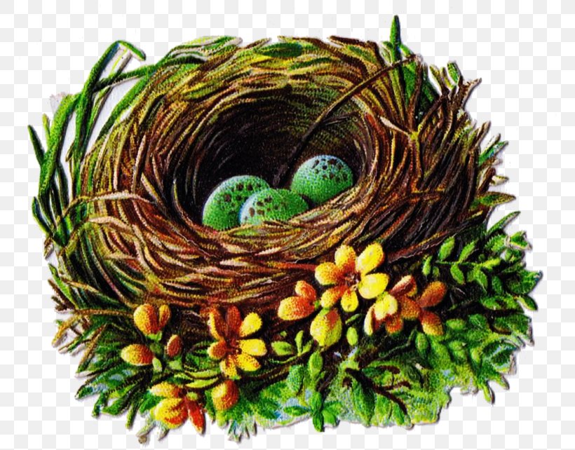 Bird Nest Clip Art, PNG, 768x642px, Bird, Bird Nest, Christmas Ornament, Drawing, Egg Download Free