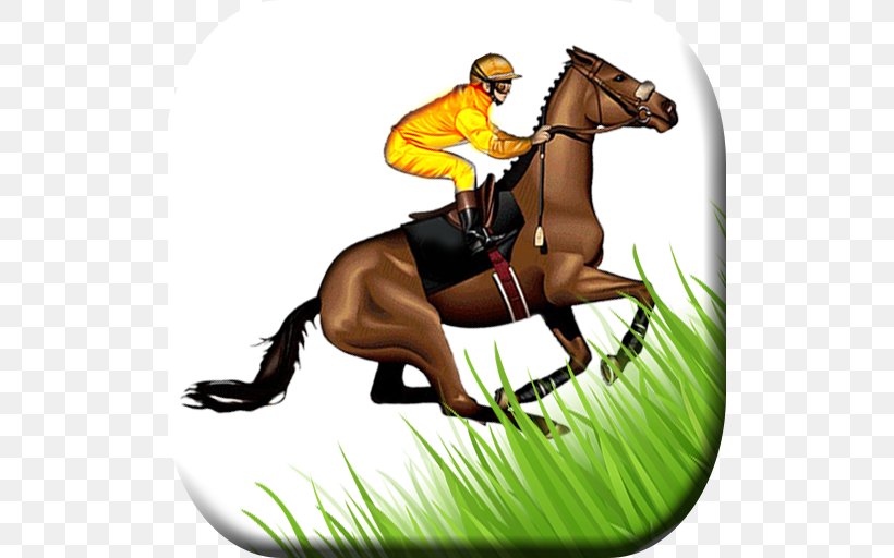 Hunt Seat Mane Mustang Stallion Rein, PNG, 512x512px, Hunt Seat, Animal Sports, Bit, Bridle, English Riding Download Free