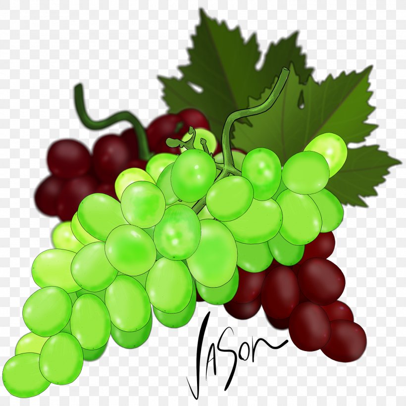 Leaves Background, PNG, 1500x1500px, Sultana, Berry, Common Grape Vine, Currant, Extract Download Free