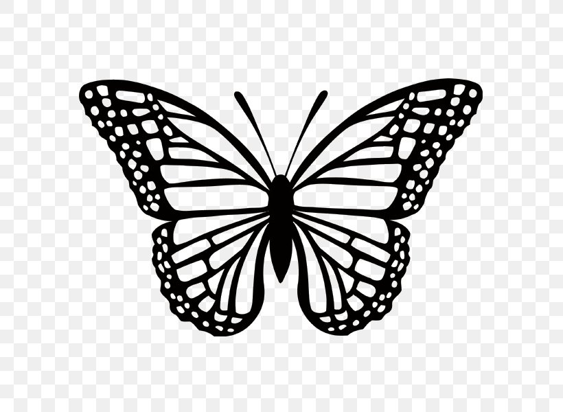 Monarch Butterfly Clip Art Image Illustration, PNG, 600x600px, Butterfly, Black And White, Brush Footed Butterfly, Drawing, Insect Download Free
