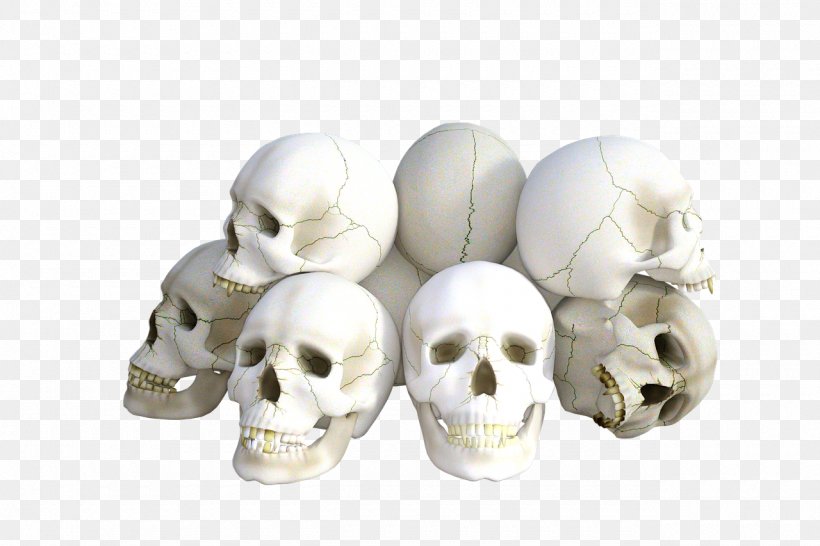 Skull Bone Skeleton Vertebrate, PNG, 1280x853px, Skull, Bone, Brain, Facial Skeleton, Head Download Free