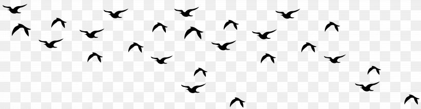 Bird Migration Angle Point Line, PNG, 8000x2087px, Bird, Beak, Bird Migration, Black, Blackandwhite Download Free