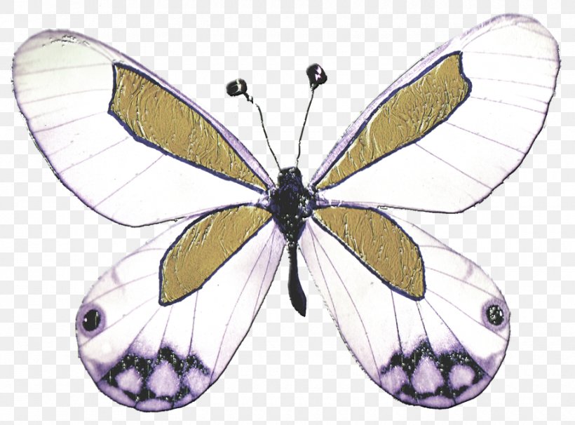 Butterfly Drawing Coloring Book Colouring Pages Image, PNG, 920x680px, Butterfly, Adult, Arthropod, Brush Footed Butterfly, Cartoon Download Free