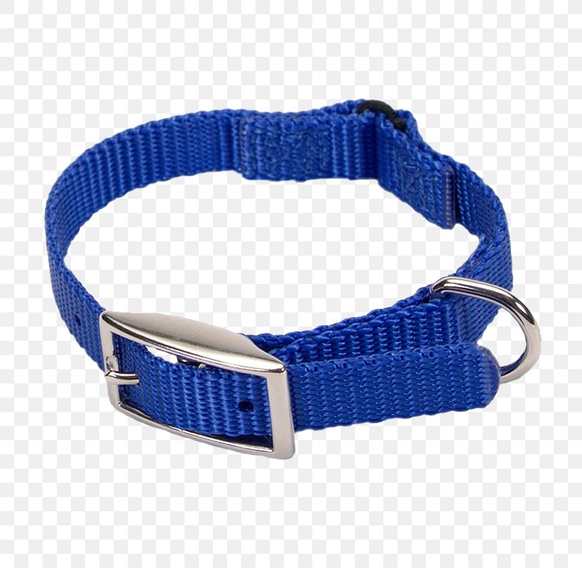 Dog Collar Cat Leash, PNG, 800x800px, Collar, Blue, Cat, Cobalt Blue, Dog Download Free