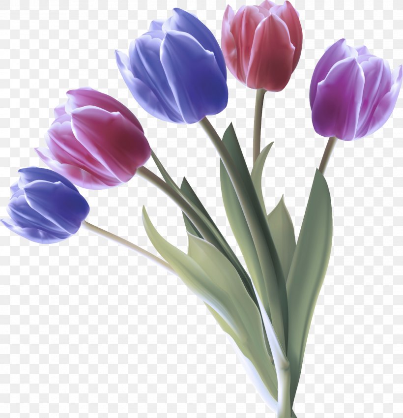 Flower Tulip Petal Purple Plant, PNG, 1447x1500px, Flower, Cut Flowers, Petal, Plant, Purple Download Free