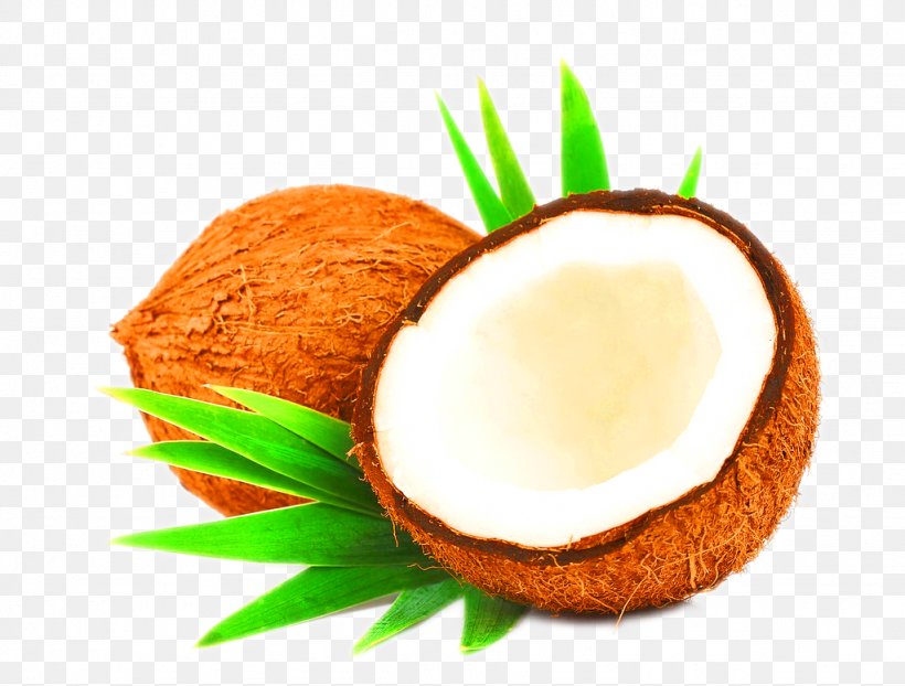 Coconut Milk Coconut Water Coconut Oil Hair Care, PNG, 1024x777px, Coconut Milk, Coconut, Coconut Milk Powder, Coconut Oil, Coconut Water Download Free