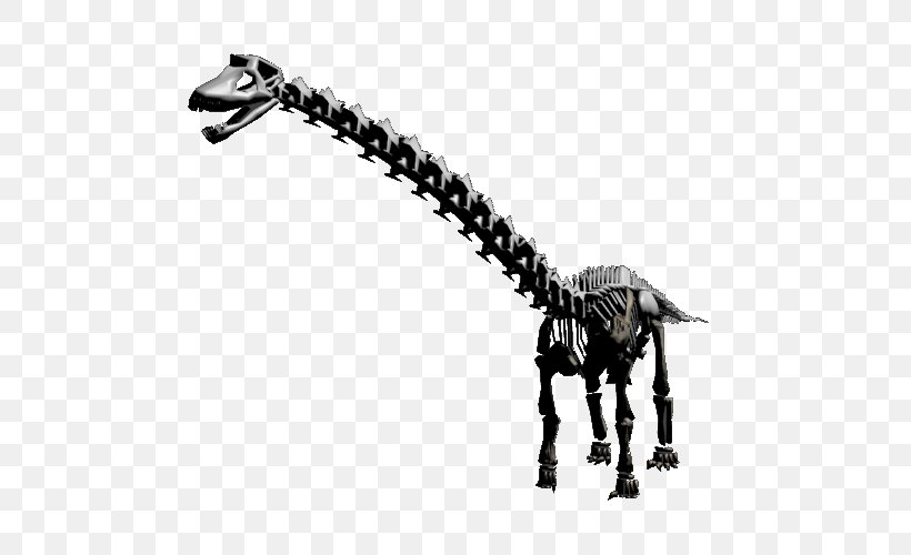 Giraffe White, PNG, 500x500px, Giraffe, Black And White, Dinosaur, Giraffidae, White Download Free